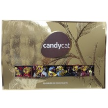 Candycat chocolates golden...