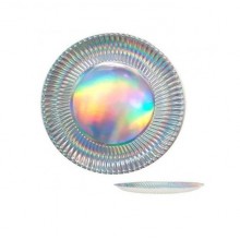 Silver Hologram Dishes 6u.